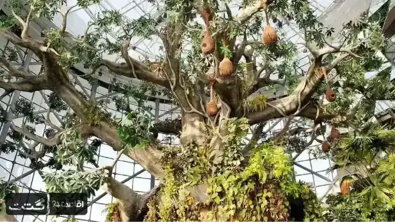 بلیط سنجاب پرنده گرین پلنت "Sugar Glider Encounter"|بلیط گرین پلنت سیاره سبز دبی