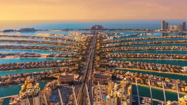 تصویری از بلیط پالم ویو دبی