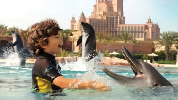 تصویری از بلیط خلیج دلفین دبی