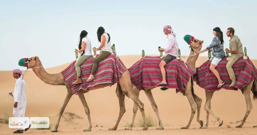 تور سافاری رویال دبی 7 شتر سواری در صحرای دبی | بلیط سافاری کویر دبی