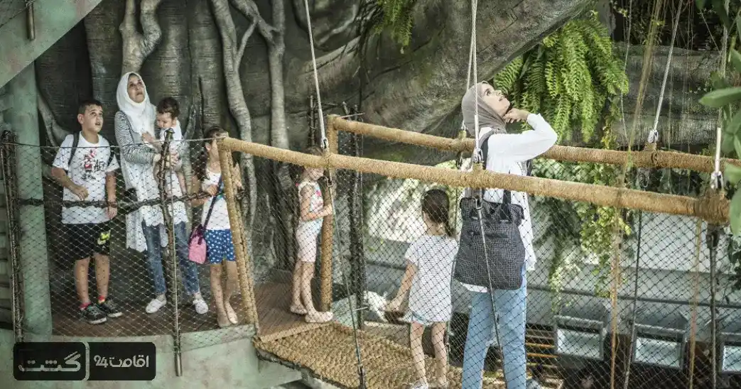 پل‌‌های معلق چوبی در سیاره سبز دبی|بلیط گرین پلنت سیاره سبز دبی