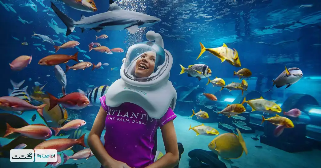 غواصی در آکواریوم آتلانتیس دبی؛ لاست چمبرز