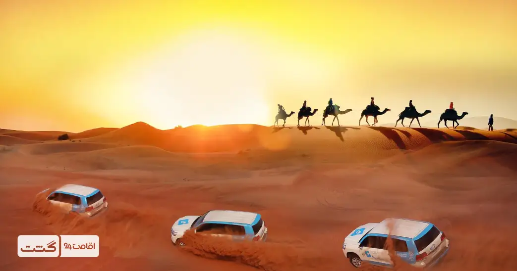 تور سافاری رویال دبی 6 ماشین های سافاری و شتر ها در غروب صحرای دبی | بلیط سافاری صحرای دبی