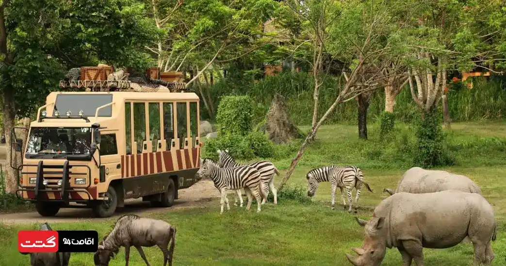 بلیط سافاری پارک دبی (باغ وحش دبی) 4 safari park dubai 11zon
