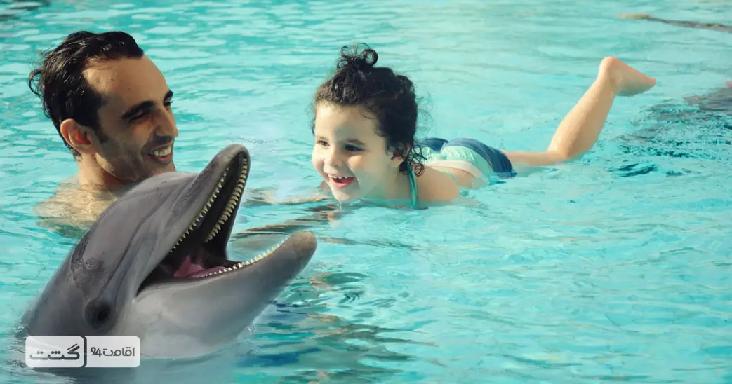بلیط دلفیناریوم دبی 5 شنای کودکان و بزرگسالان با دلفین های دلفیناریوم دبی | خرید بلیط دلفیناریوم دبی