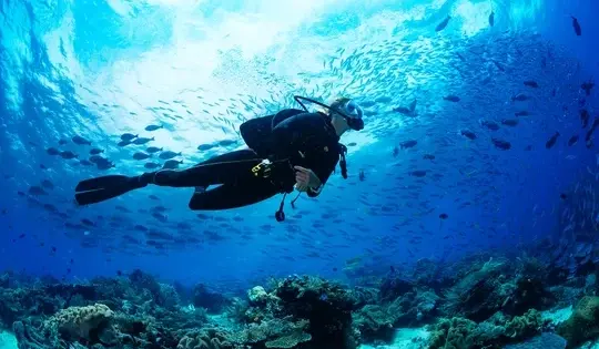 تصویری از غواصی کیش