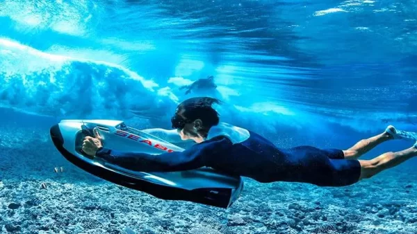 تصویری از بلیط سی باب در کیش