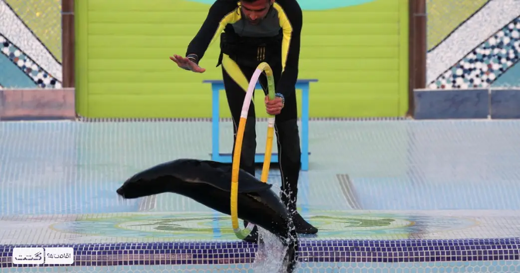 نمایش فک‌های پارک دلفین کیش | بلیط پارک دلفین کیش