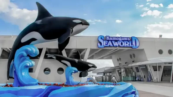 تصویری از بلیط دنیای آبی سی ورلد ابوظبی