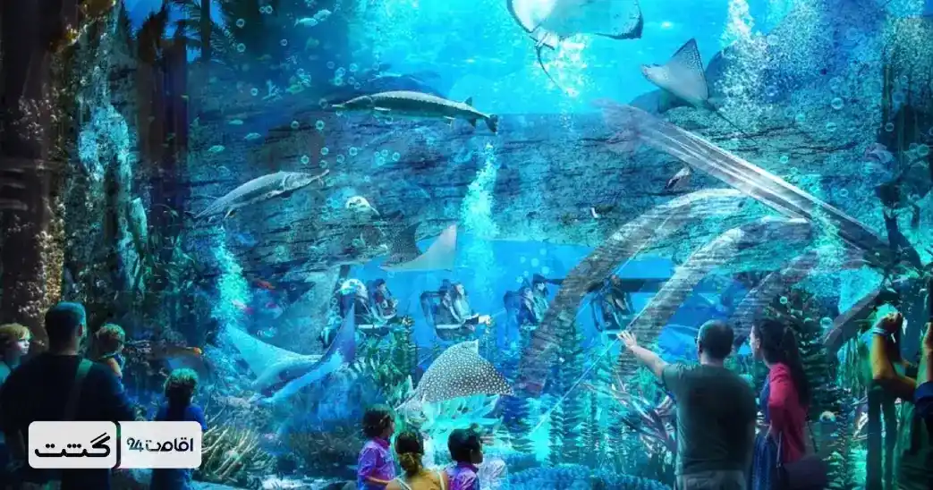 بلیط دنیای آبی سی ورلد ابوظبی 2 نمایی از اقیانوس ابوظبی، اولین قلمرو و ورودی پارک | خرید بلیط سی ورلد ابوظبی