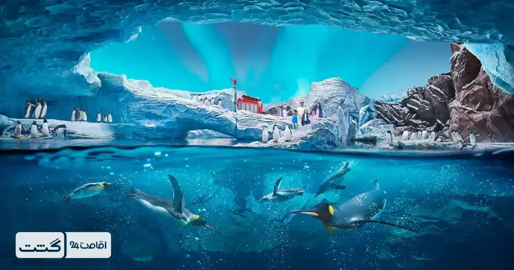 بلیط دنیای آبی سی ورلد ابوظبی 6 نمایی از بازسازی قطب جنوب در سی ورلد ابوظبی | بلیط سی ورلد ابوظبی