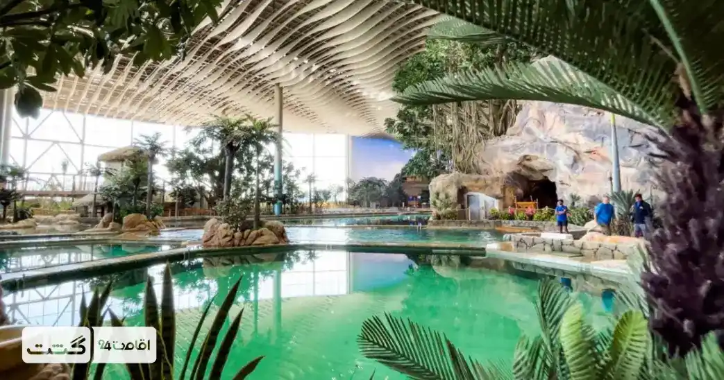 بلیط دنیای آبی سی ورلد ابوظبی 7 نمایی از منطقه استوایی و دلفینها، فلامینگوها، و سفره ماهی استوایی | بلیط سی ورلد ابوظبی