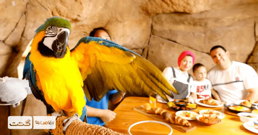 بلیط باغ وحش پارک امارات ابوظبی 9 طوطی و پرندگان زینتی باغ وحش ابوظبی
