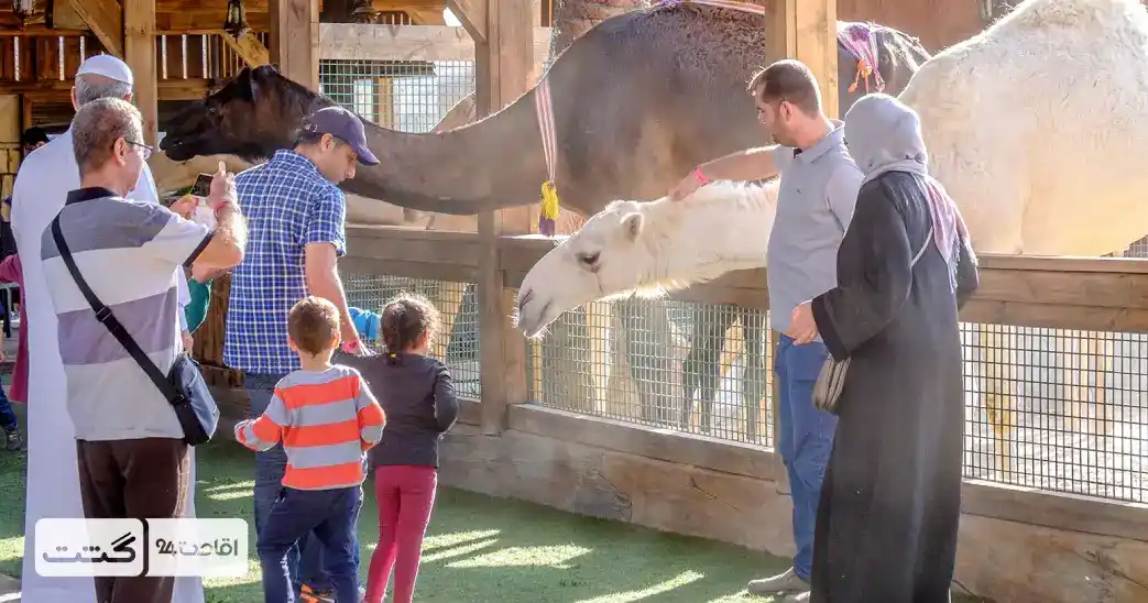 بلیط باغ وحش پارک امارات ابوظبی 13 petting zoo emirate 11zon