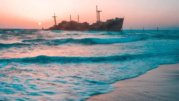 تصویری از گشت دور جزیره کیش