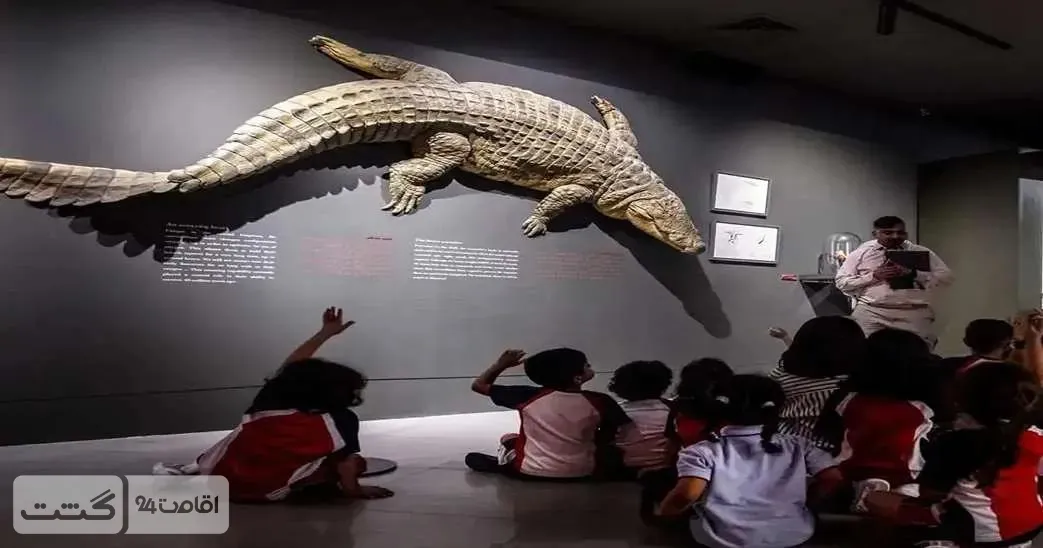 پارک کروکودیل دبی 2 Untitled design 11 11zon